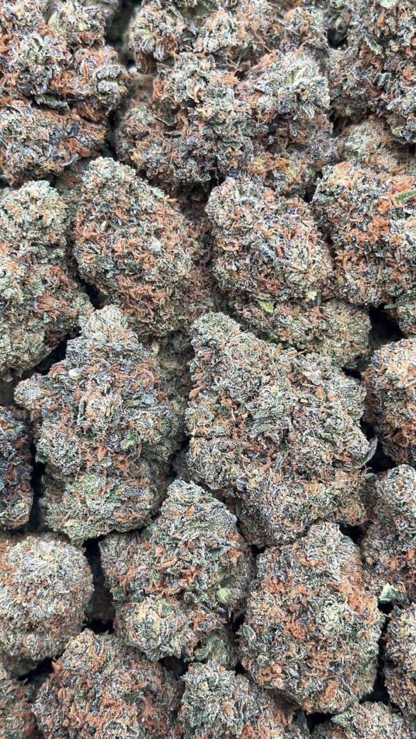 Mega Runtz - PK388