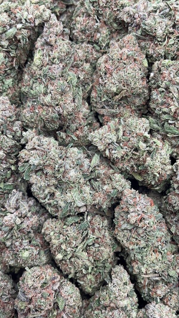 Grape Cake - PK298
