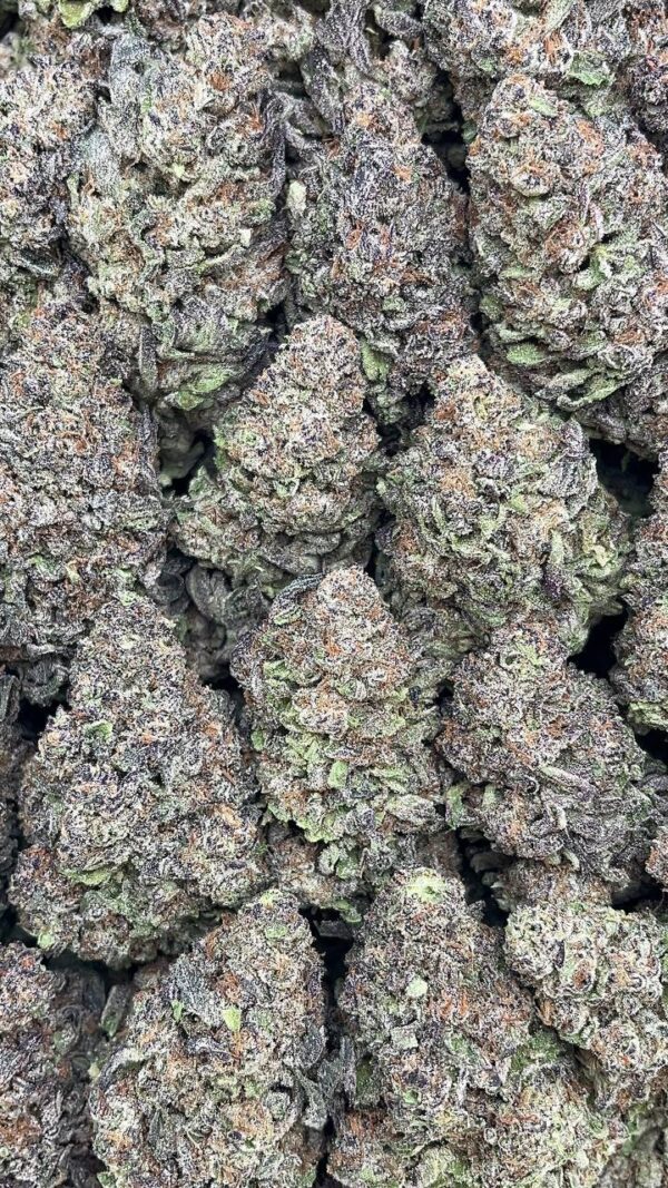Mochi - PK303