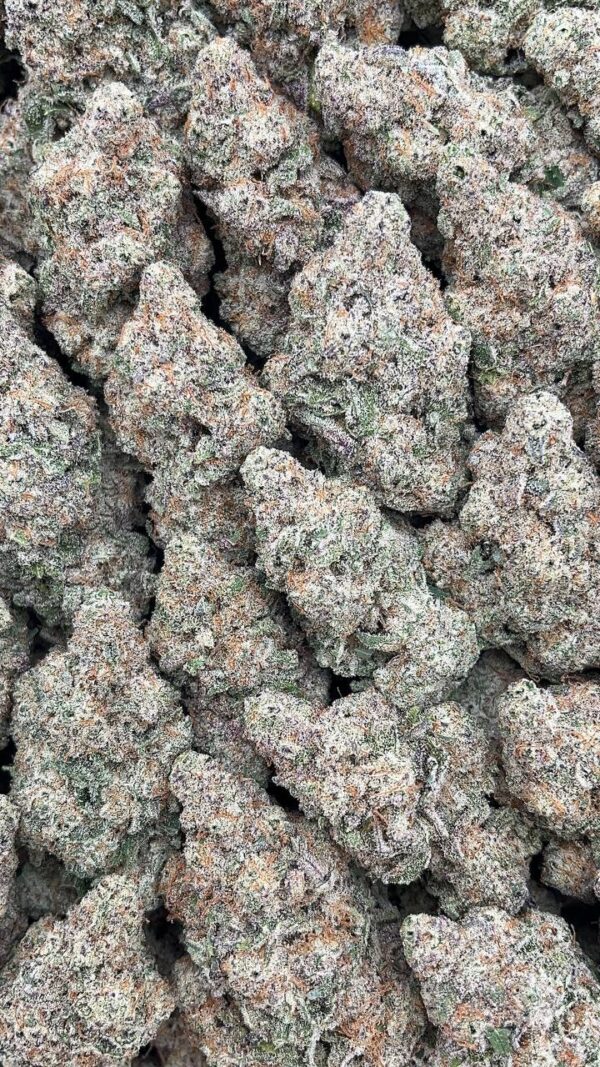 Alien Cookies - PK311