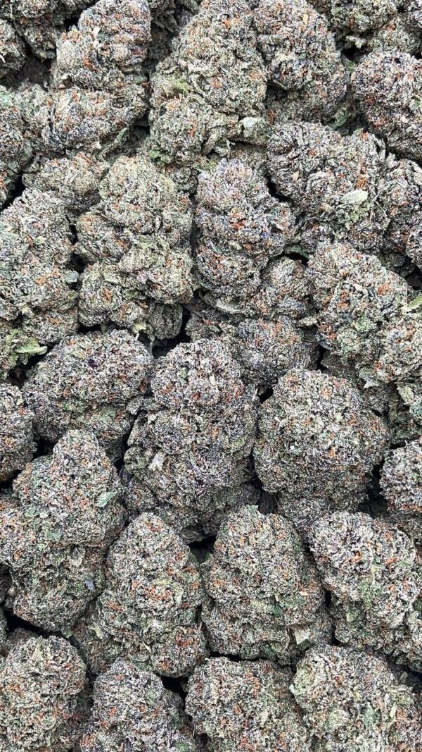 Purple Runtz - PK333