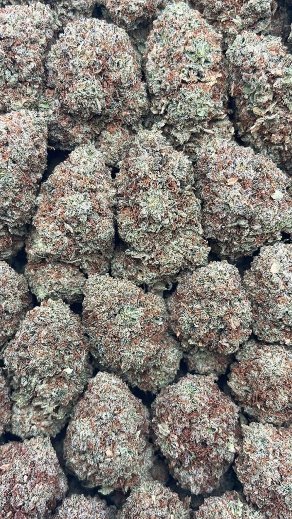 Oreo Cake - PK335