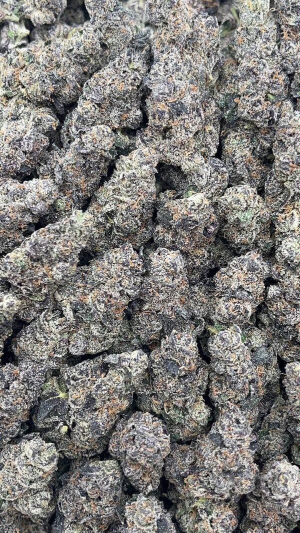 Black Diamond - PK146