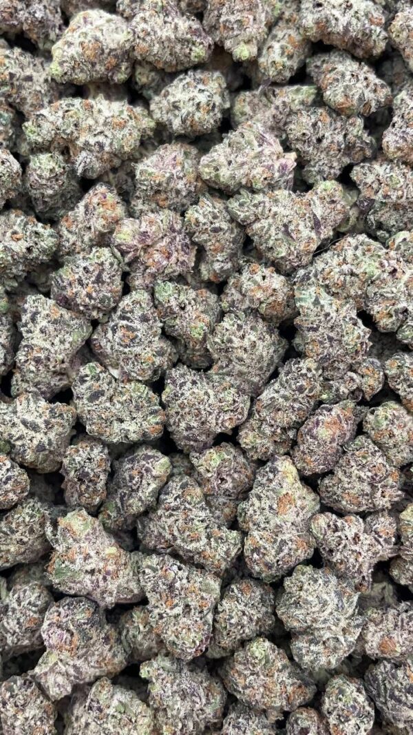 White Truffle Mediums - PK168