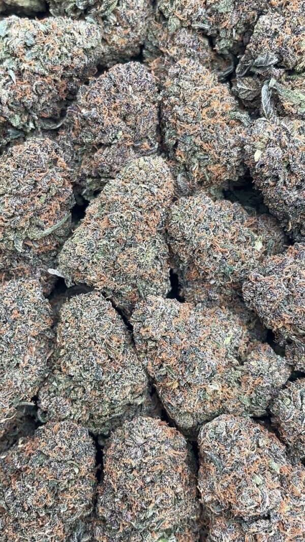 Mule Fuel - PK215