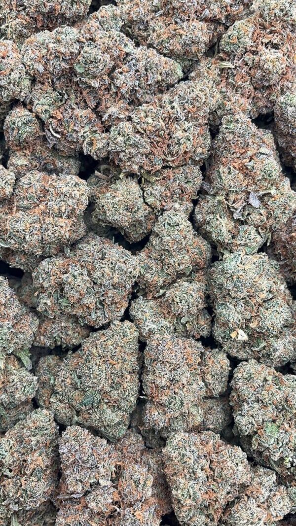 Tropical Runtz - PK226
