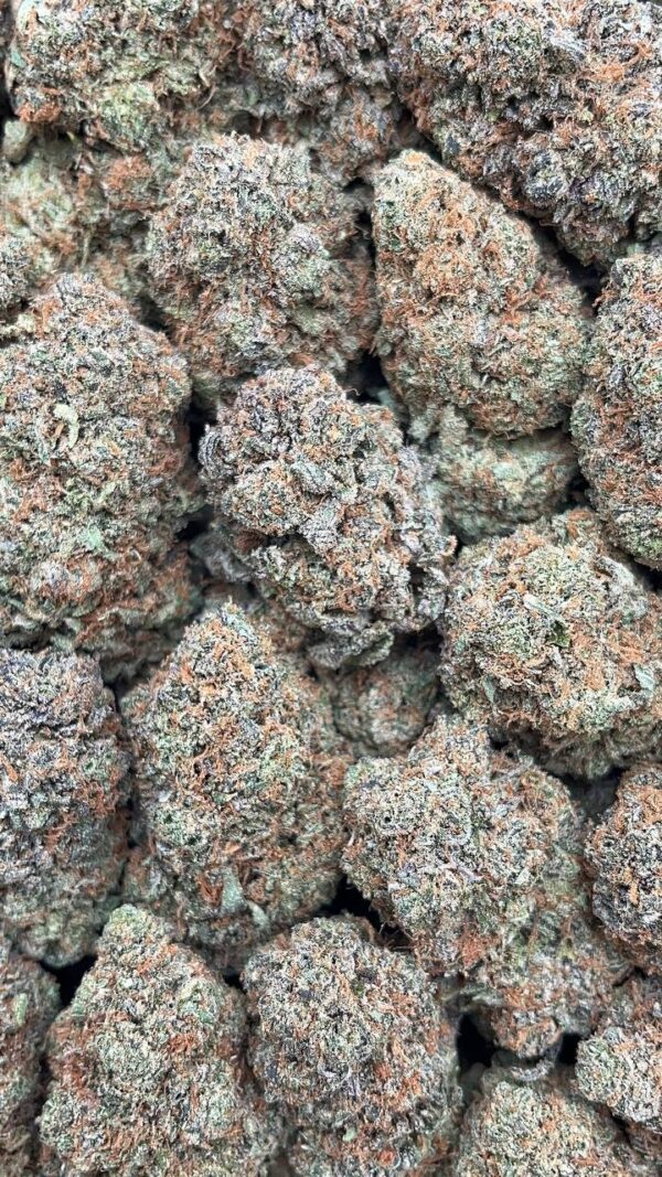 Platinum Haze - PK284