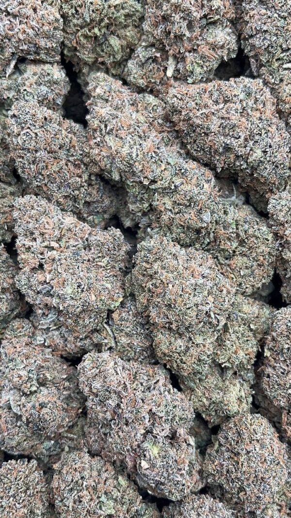 otton Candy Gelato - PK285