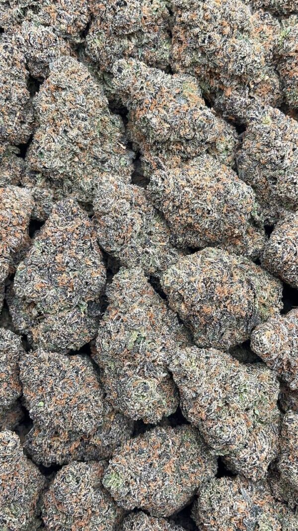 Black Runtz - PK291