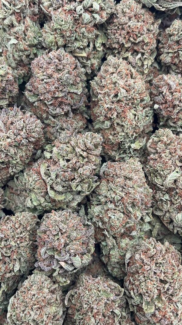Platinum Cookies - PK325
