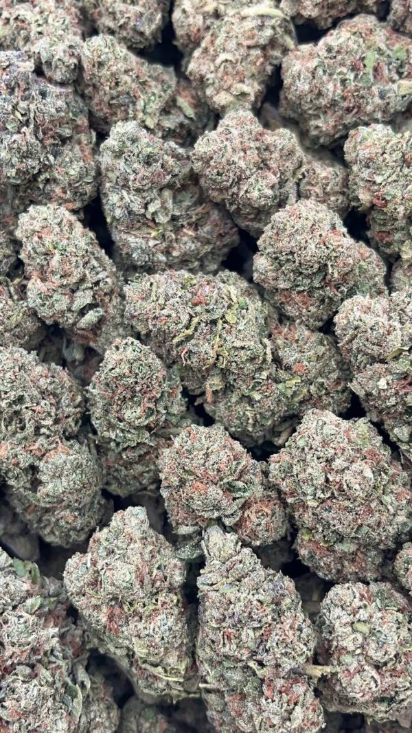 Pink Runtz - PK114