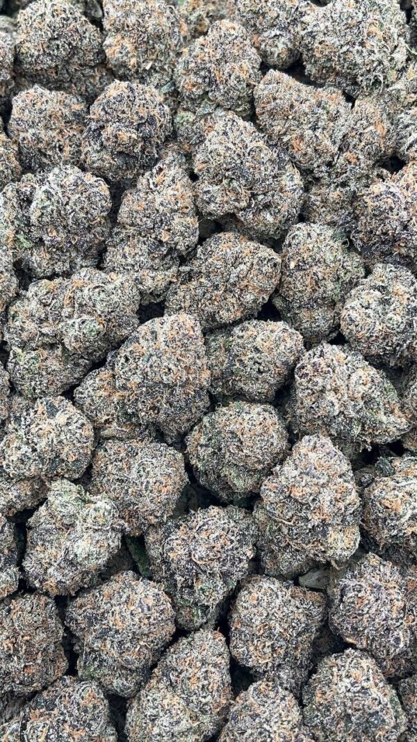 Forbidden Runtz - PK129