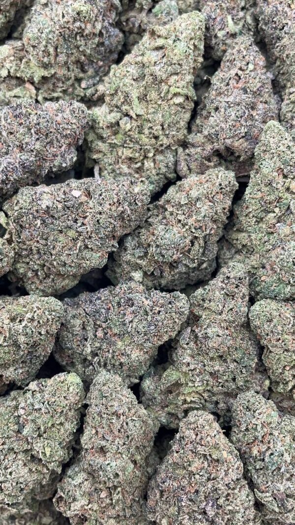 Purple Haze - PK131