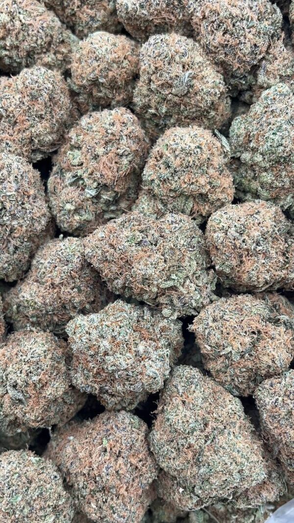 Mochi - PK137